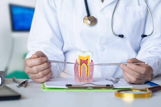Best Pediatric Emergency Dentist in Utica, MI